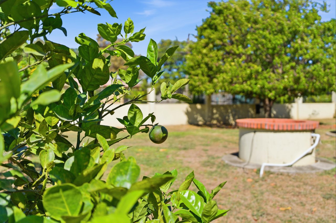 The Jewel of Sardinal | Income, Lifestyle, and Opportunity in One Exceptional Property