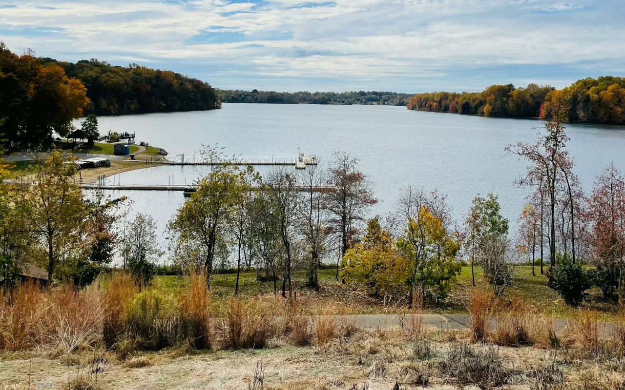 Lake bordered by autumn-colored trees, with a dock and dry grasses in the foreground.