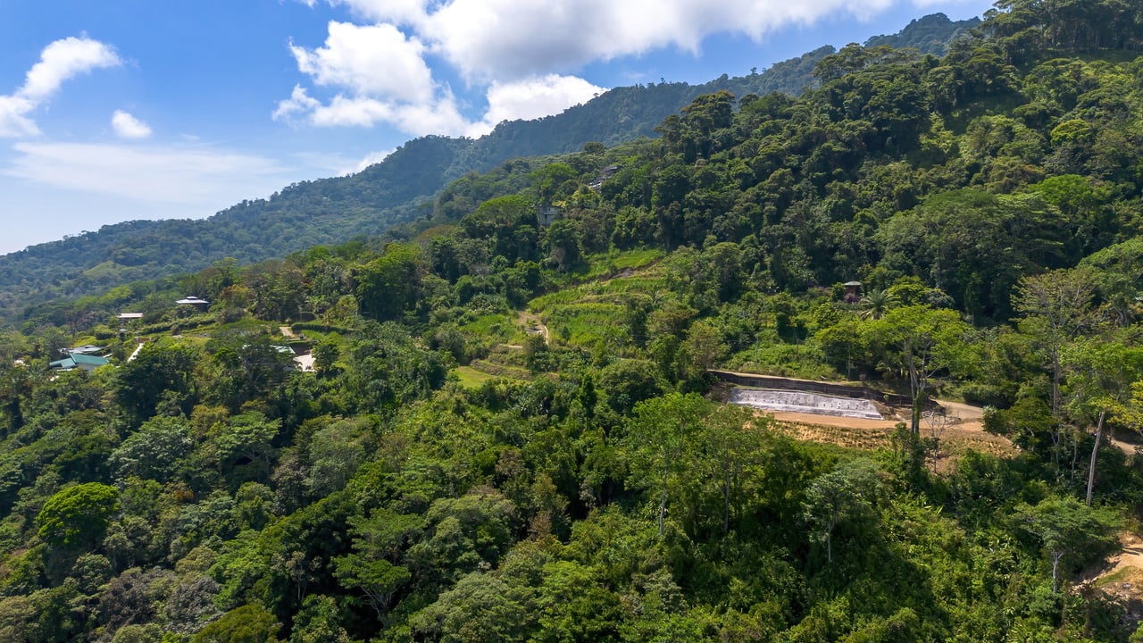 In-Demand 2.3-Acre Ocean View Homesite with Whale Tail Views | San Josecito