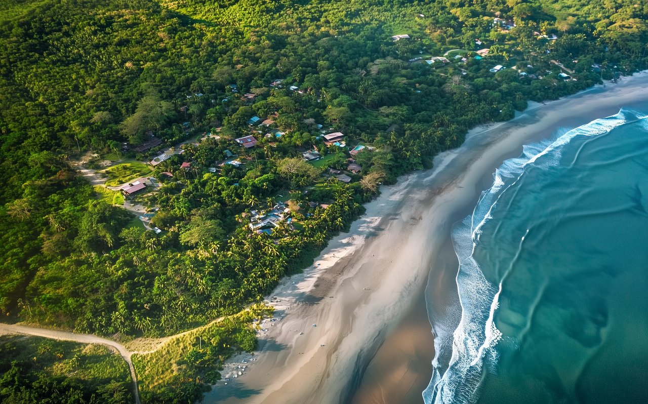 Tamarindo