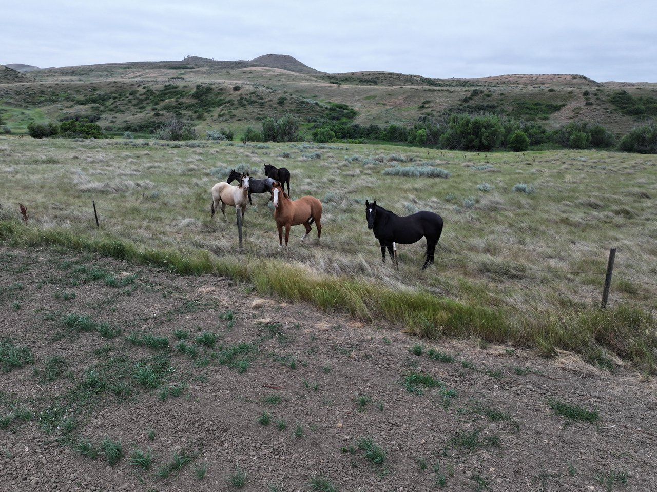 Dutch Creek Ranch 