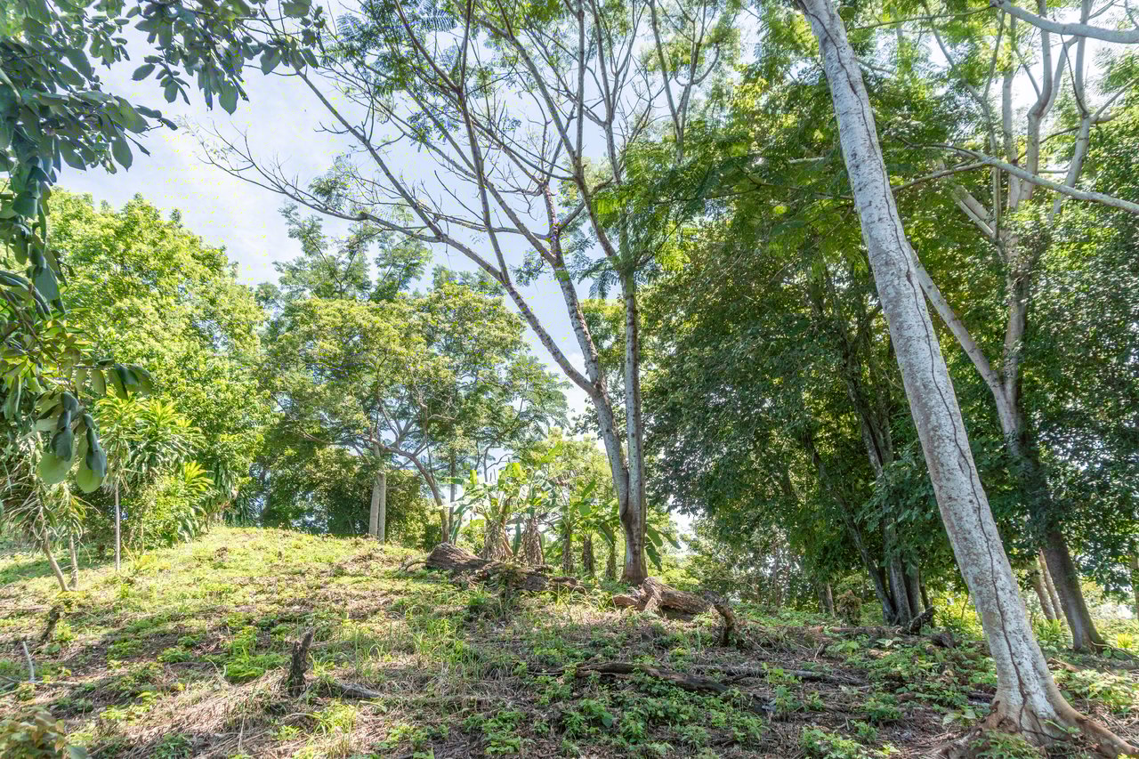 La Reserva Camaronal Lot 34