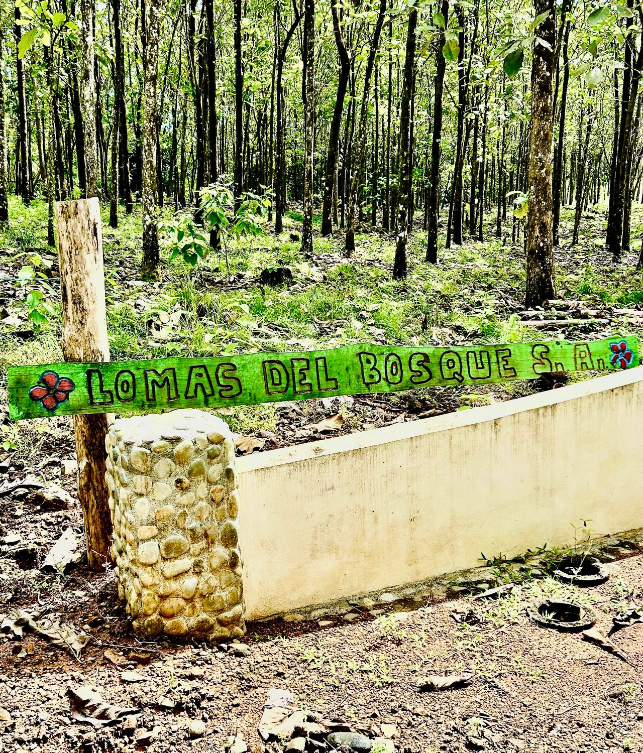 Prime 1.24-Acre Land in Matapalo / San Andrés – Ready to Build