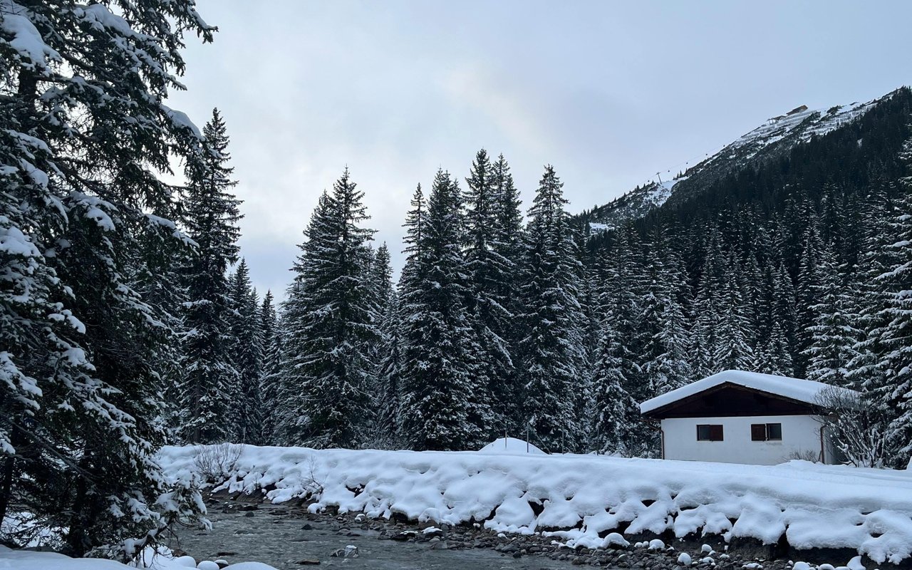 Cabin Life: Is It a Good Investment?