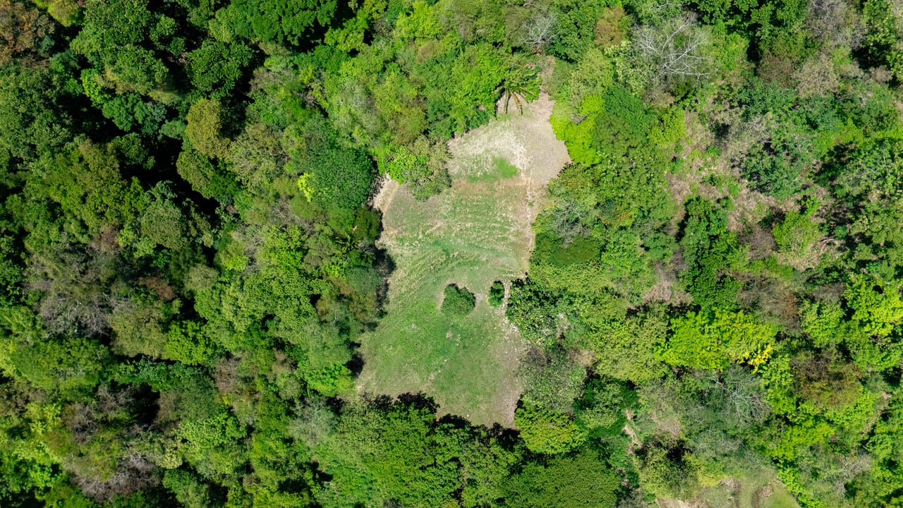 Prime Jungle Retreat with Sunset Views – Build Your Dream