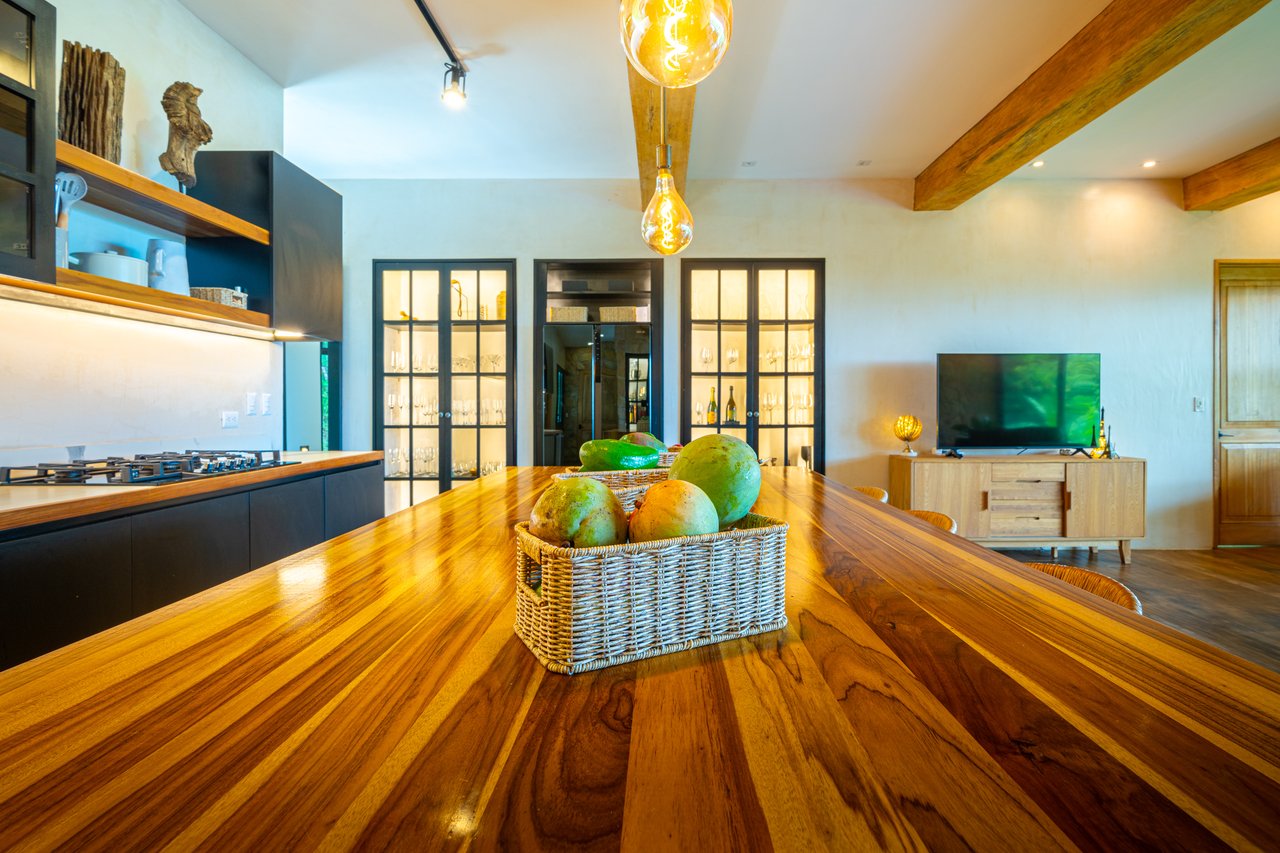Ocean View Luxury in the Heart of Ojochal – Seller Financing Available!