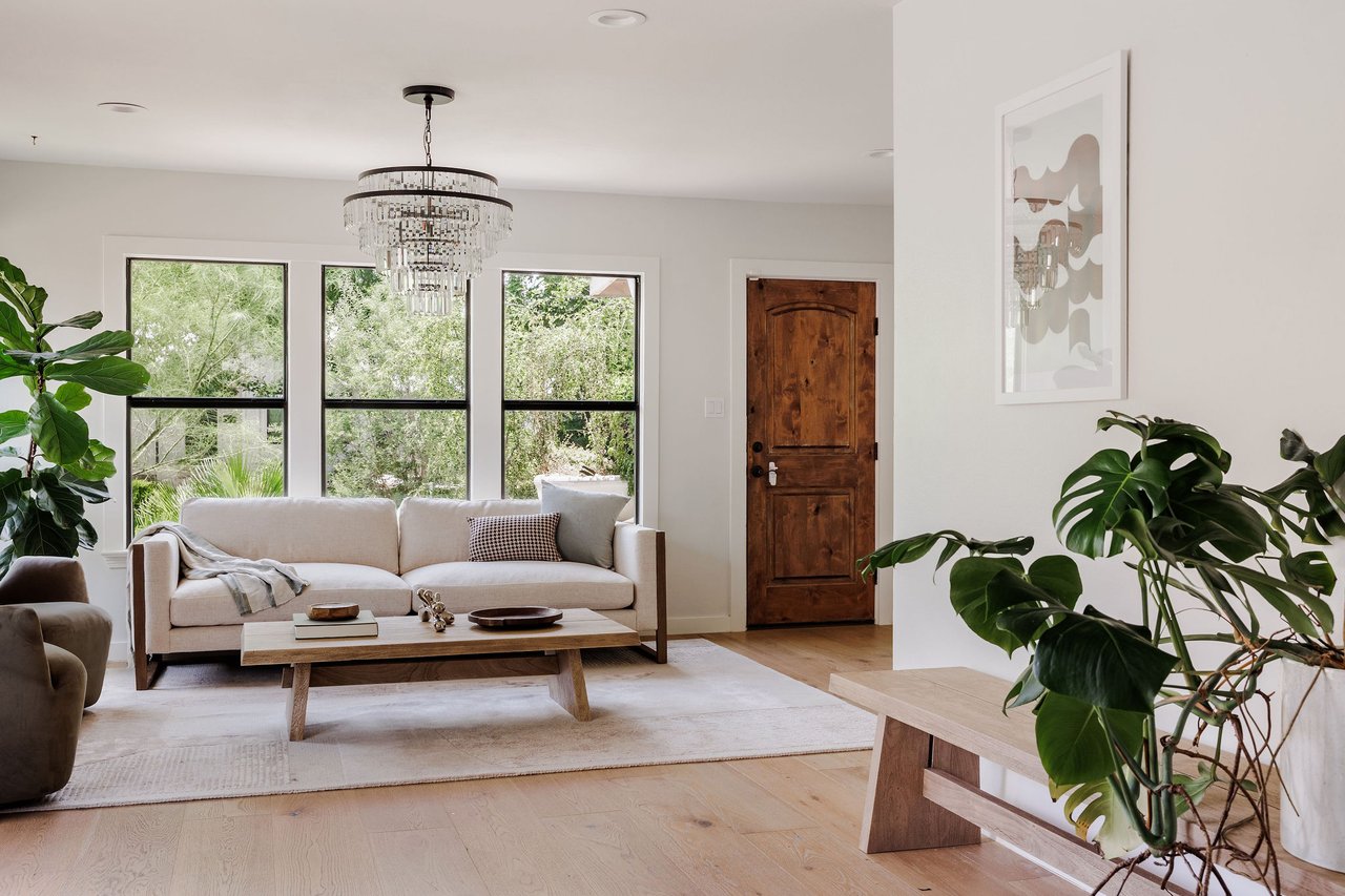 Bouldin Creek Sanctuary