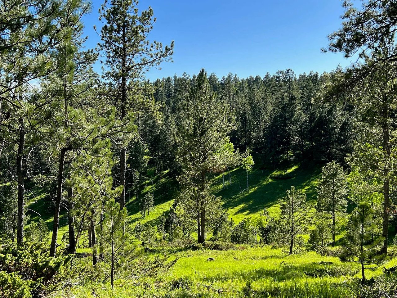 Lot 7 Boles Canyon Rd