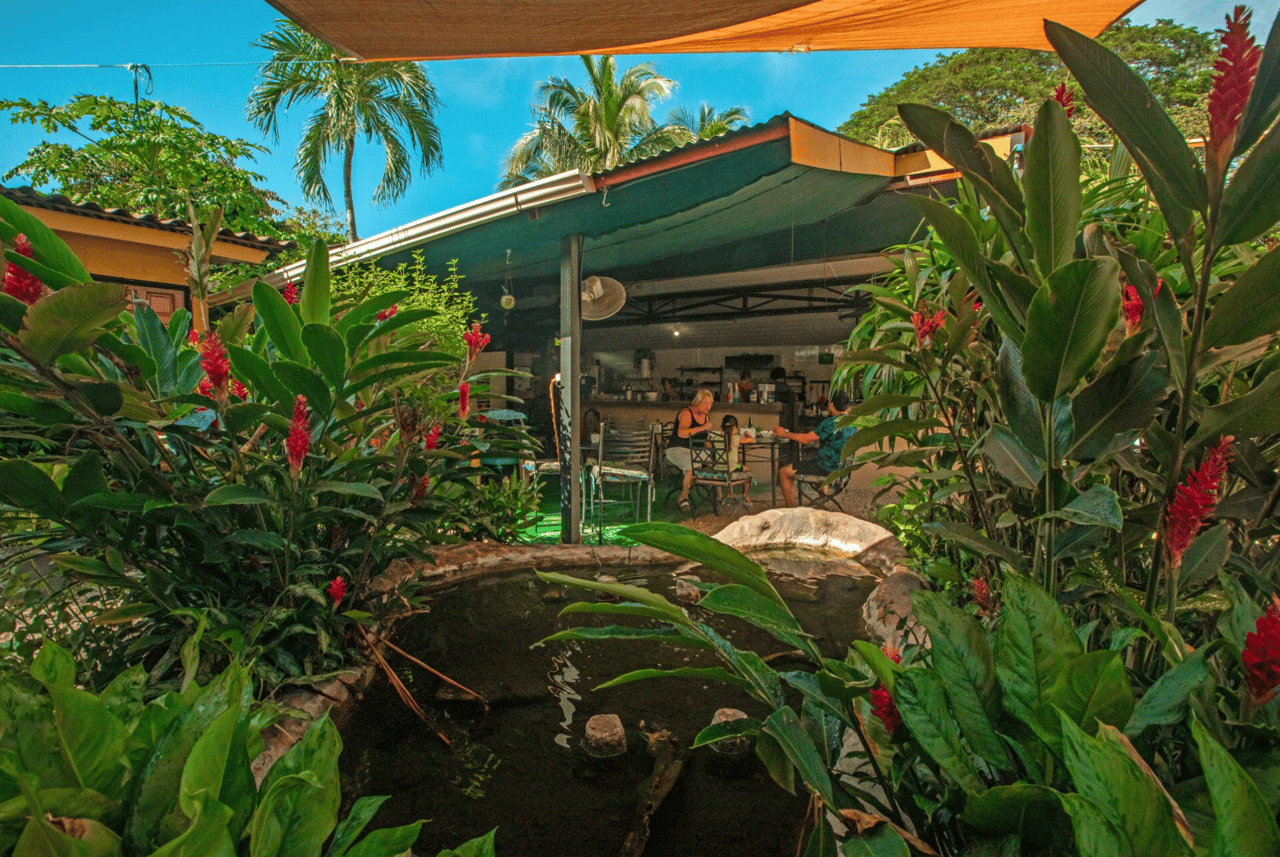 Beachside Hotel - Playa Del Coco - Titled