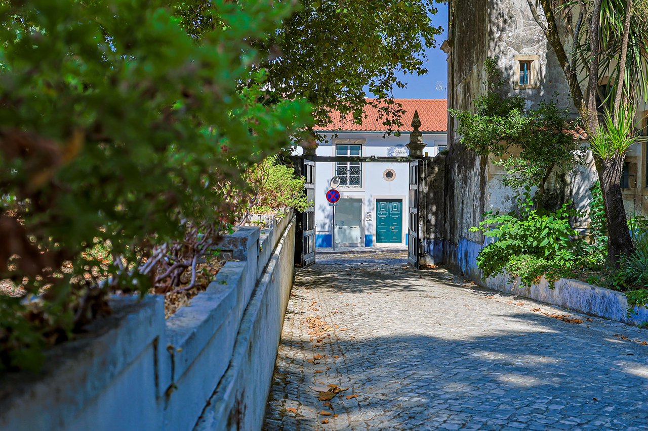 Magnificent 17th-Century Palace with  76,400 m² Estate Near Coimbra