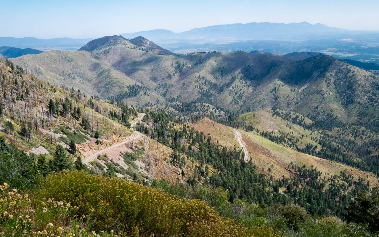 Ruidoso
