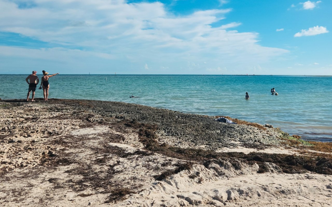 Rocky shoreline beside calm turquoise water, with beachgoers standing and wading.