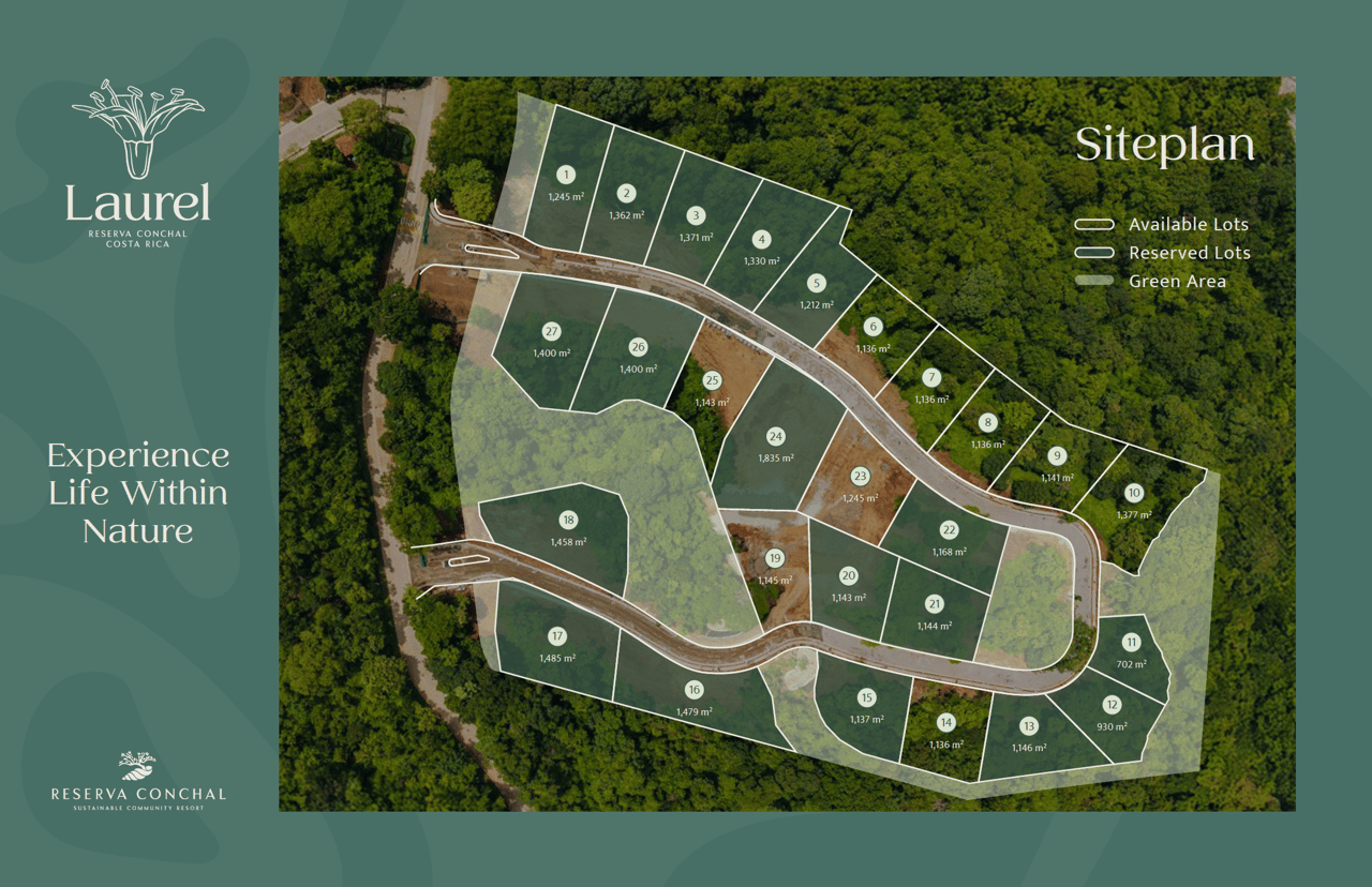 Laurel Residential forest-view lots