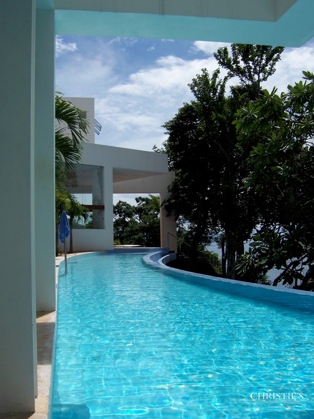 Jungle and Ocean Architectural Masterpiece