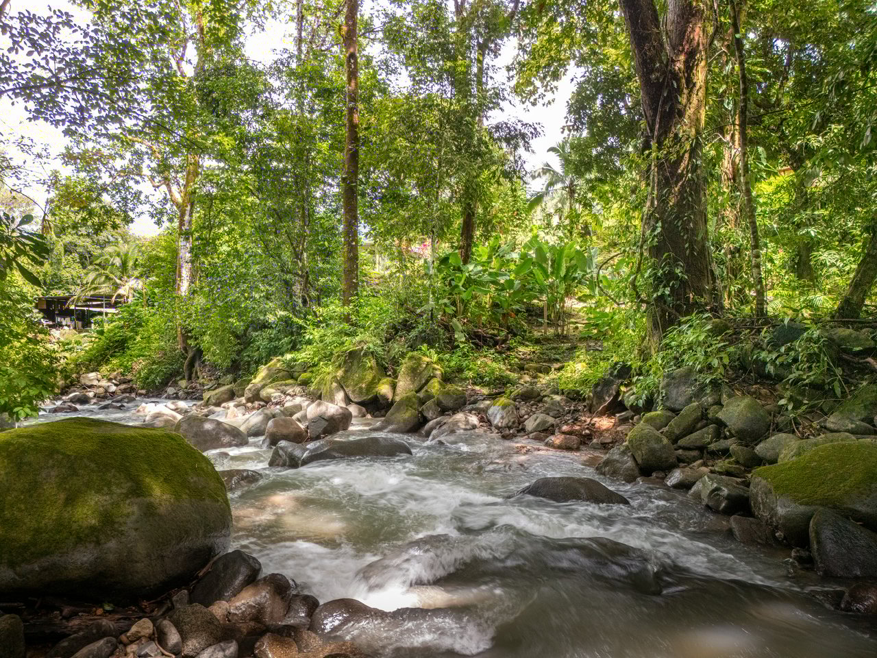 Plant Your Roots at Tierra Bendita! 2.5 Acres, River Frontage, 2 Bedroom Home, Private, Easy Access!