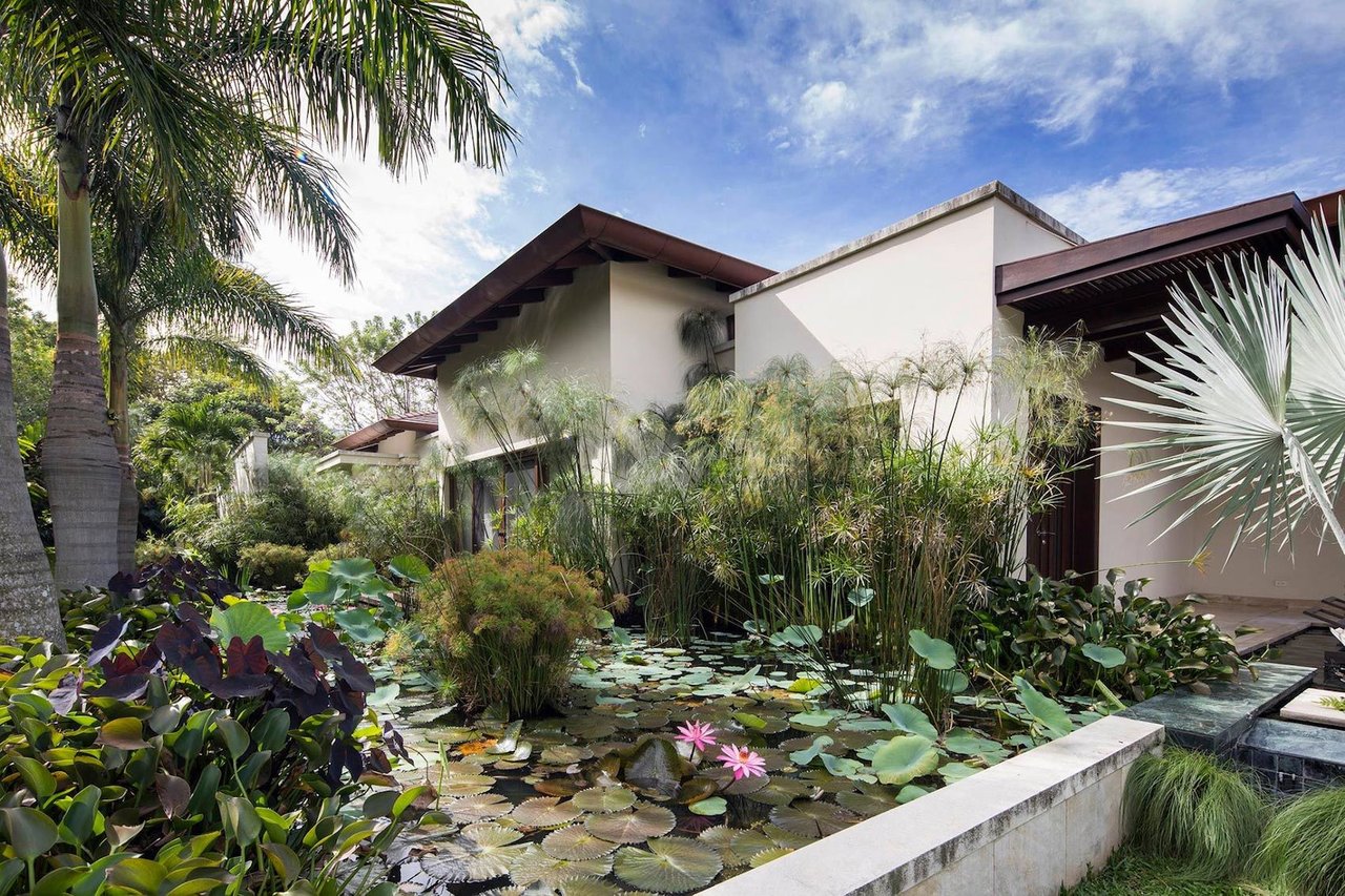 Tropical Single Story Estate, Santa Ana, San Jose