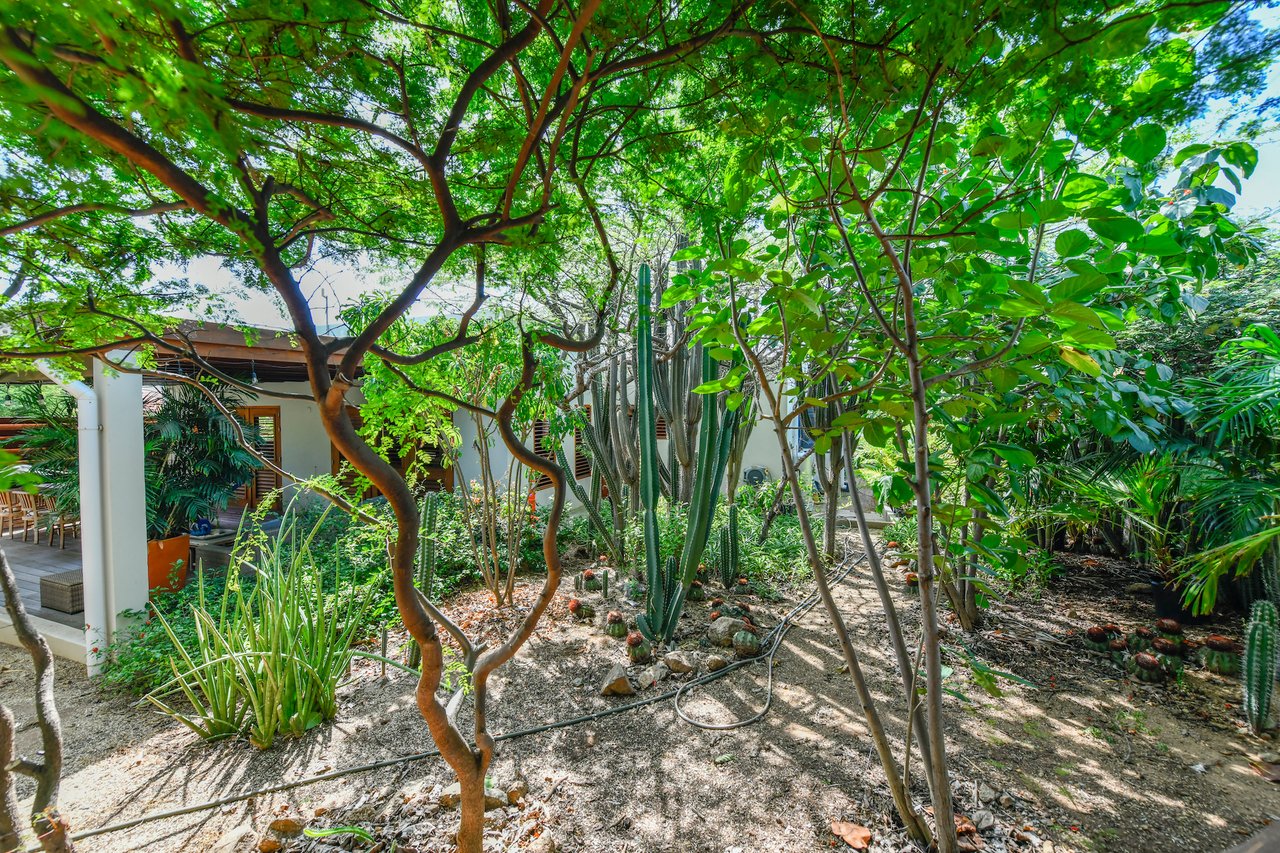 Nature-Infused Retreat at Picaron as Investment