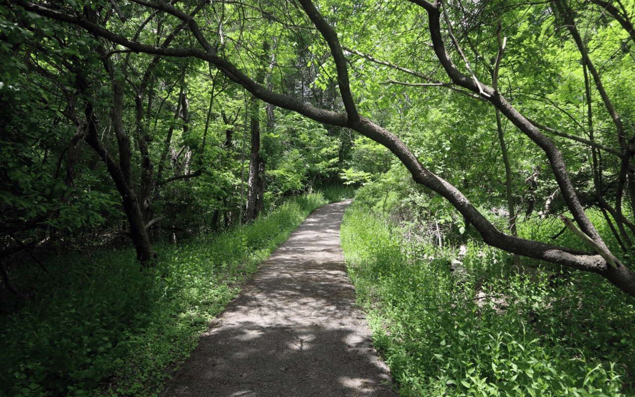 8 Revitalizing Wellness Activities in Scarborough Bluffs