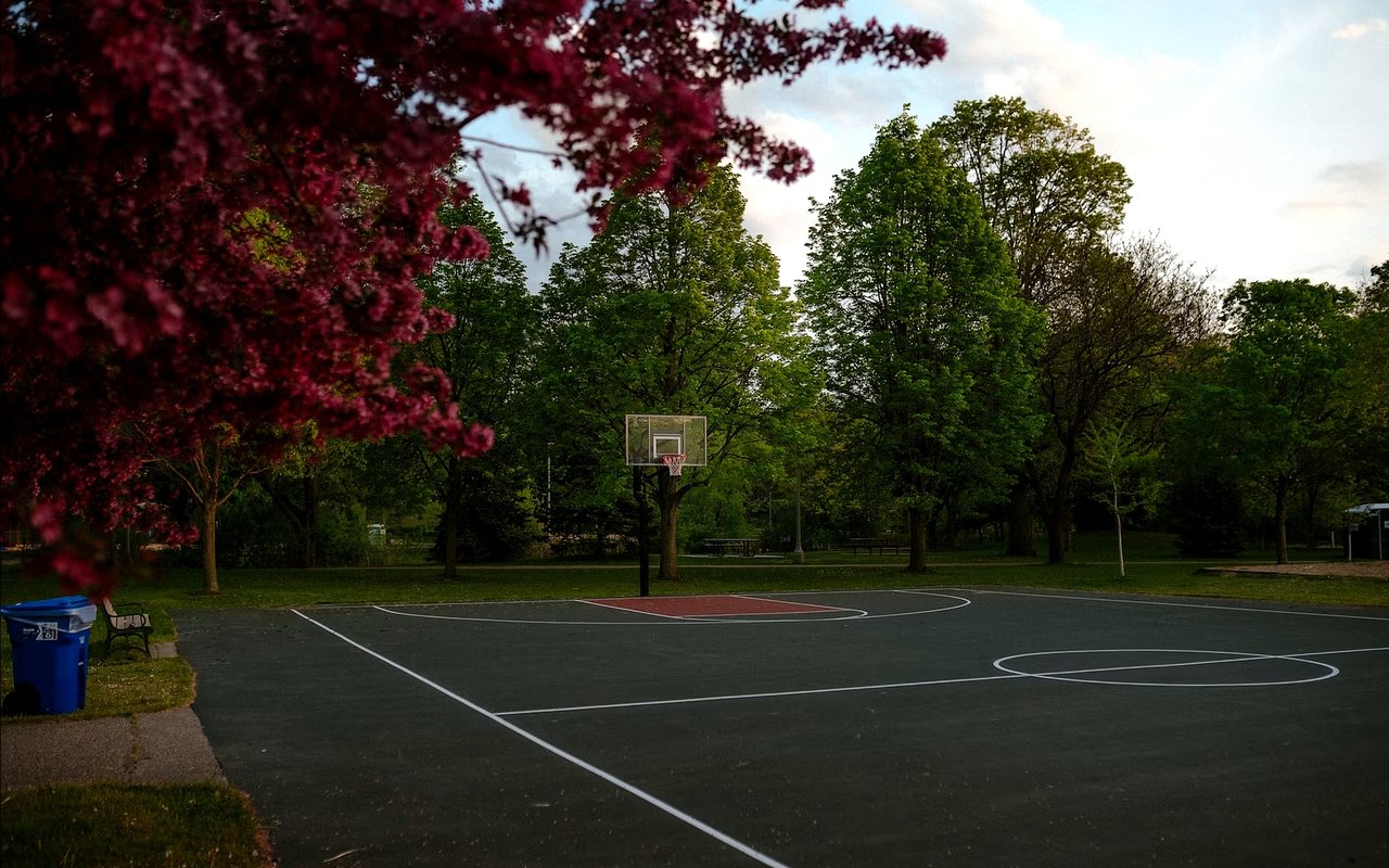 A Guide to Forest Lake, MN Parks