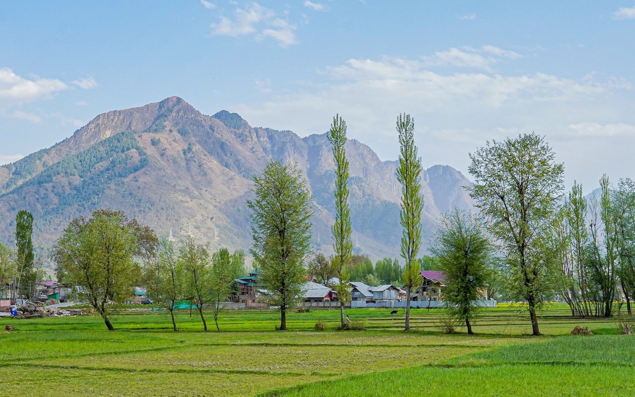 Mountain range rises behind green fields, trees, and a small rural settlement.