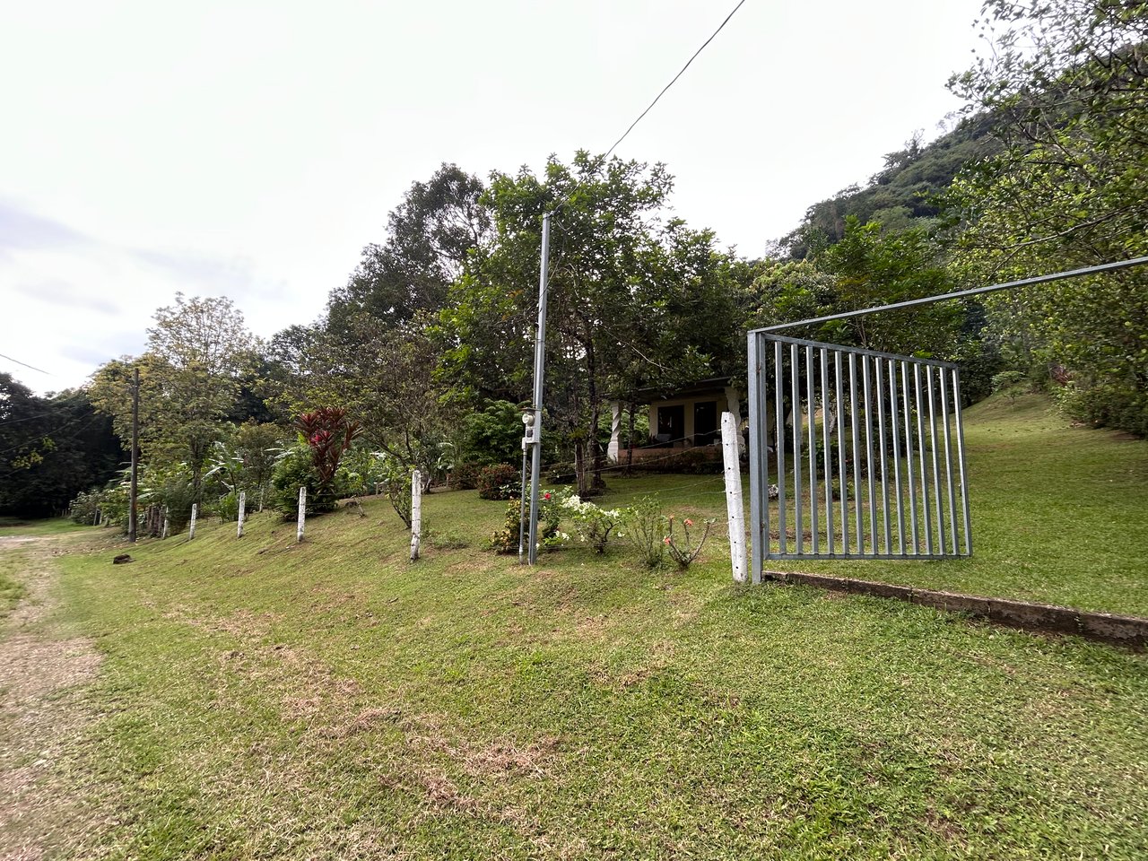 Commercial & Residential Property in Punta Mala with Producing Fruit Trees