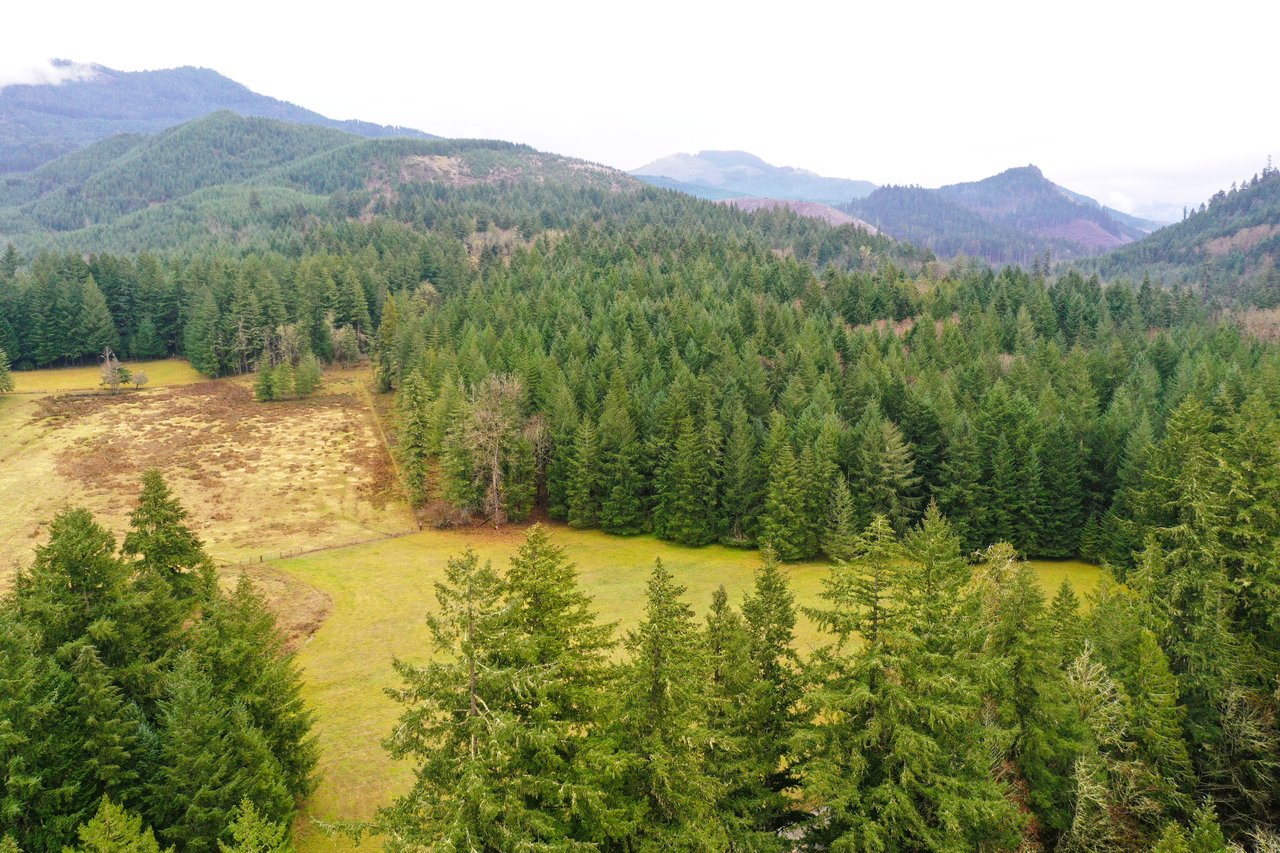 MOSBY CREEK FARM & FOREST