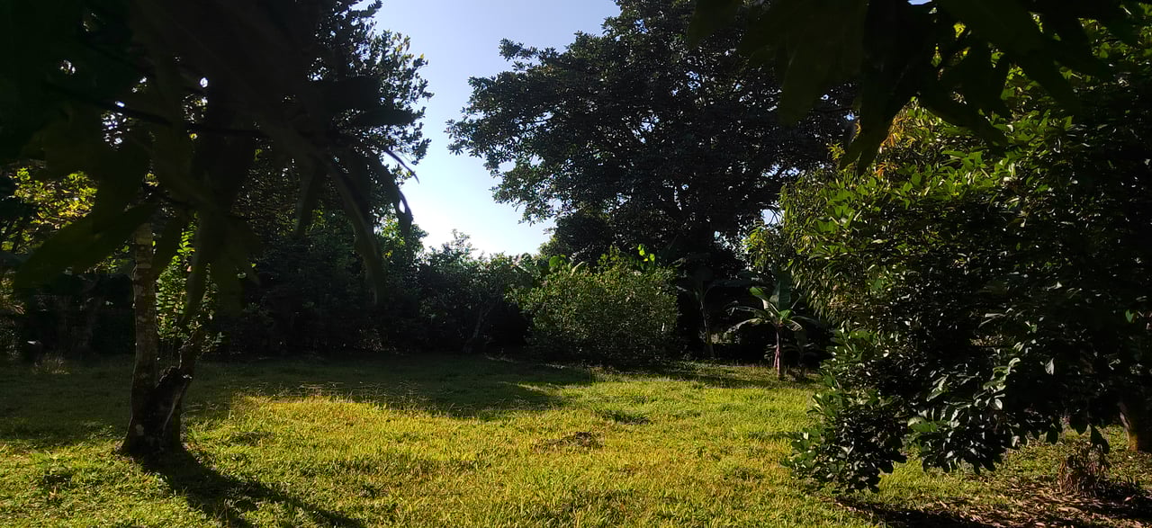 PRIME 1,100 M² LOT IN RESIDENCIAL LOS VIEJOS – FLAT, PRIVATE, AND READY TO BUILD