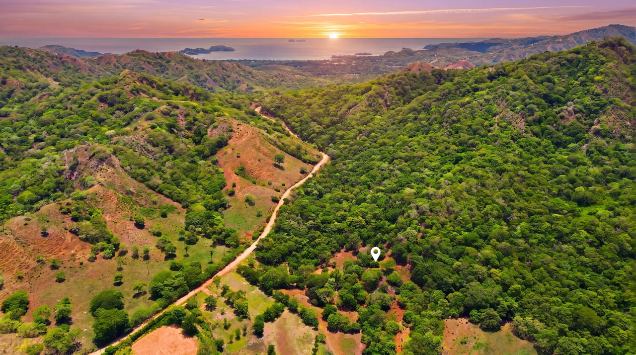 3.4 Acres of Quiet Country Living | 12 minutes from the Beach - Tempate 