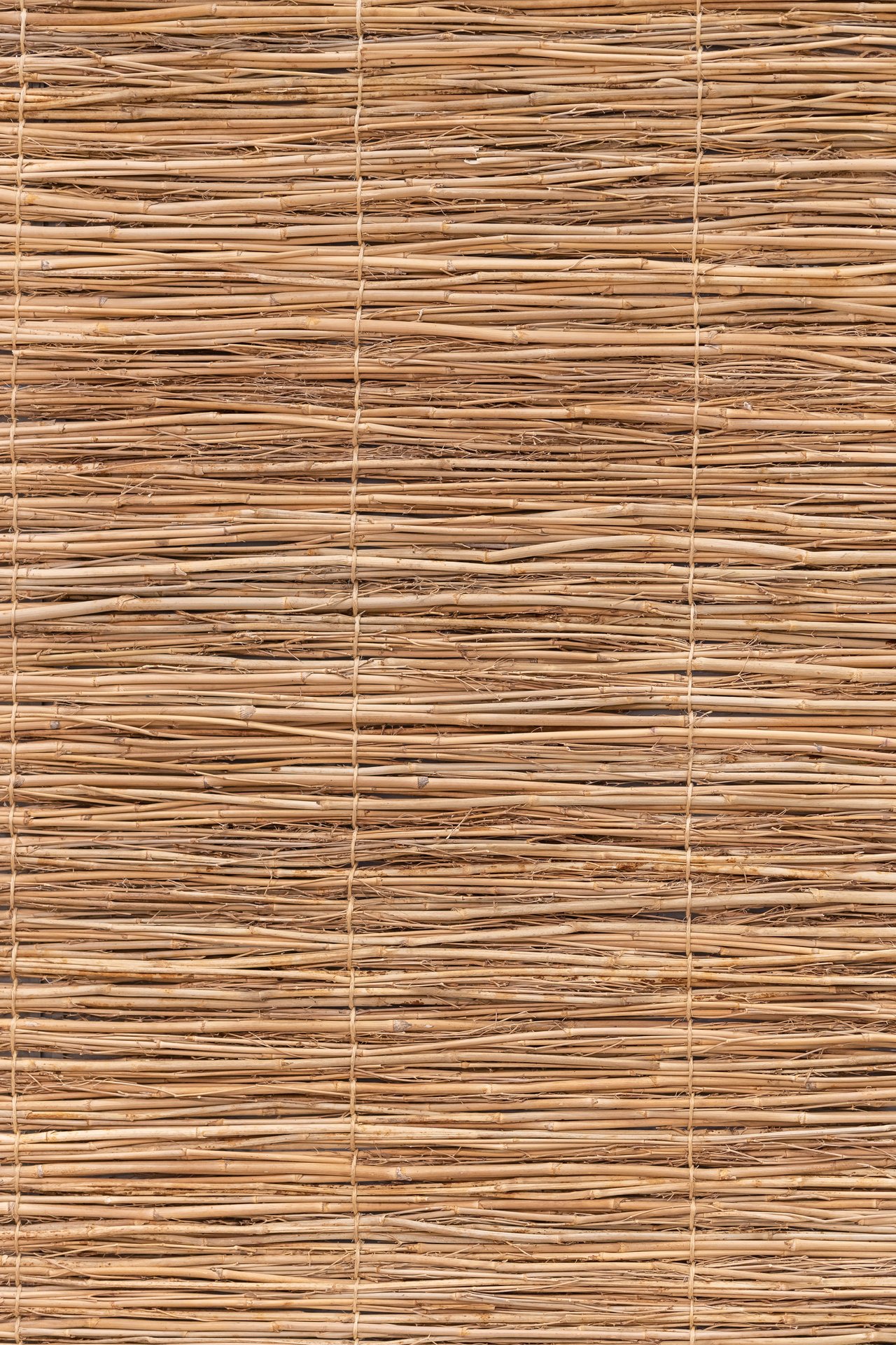 Tightly packed tan reeds tied together in a woven surface.