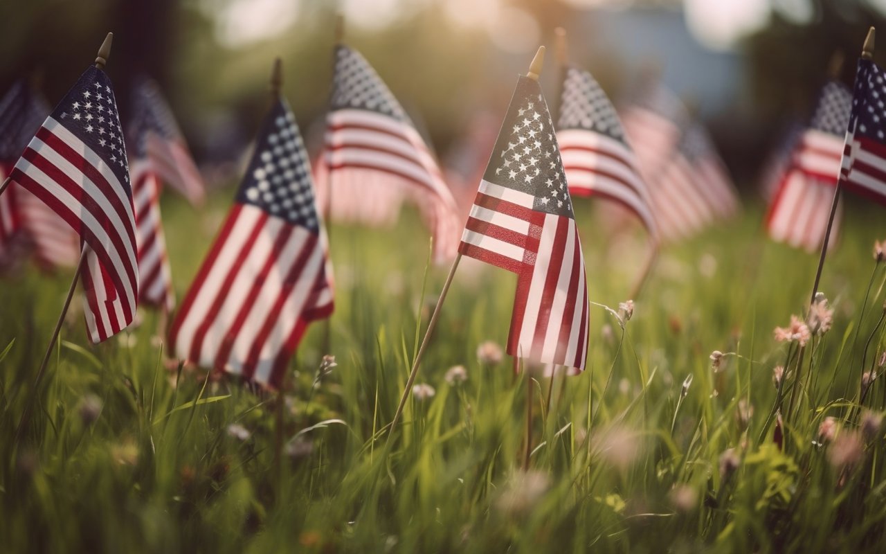American flags among grass and wildflowers in warm evening light.