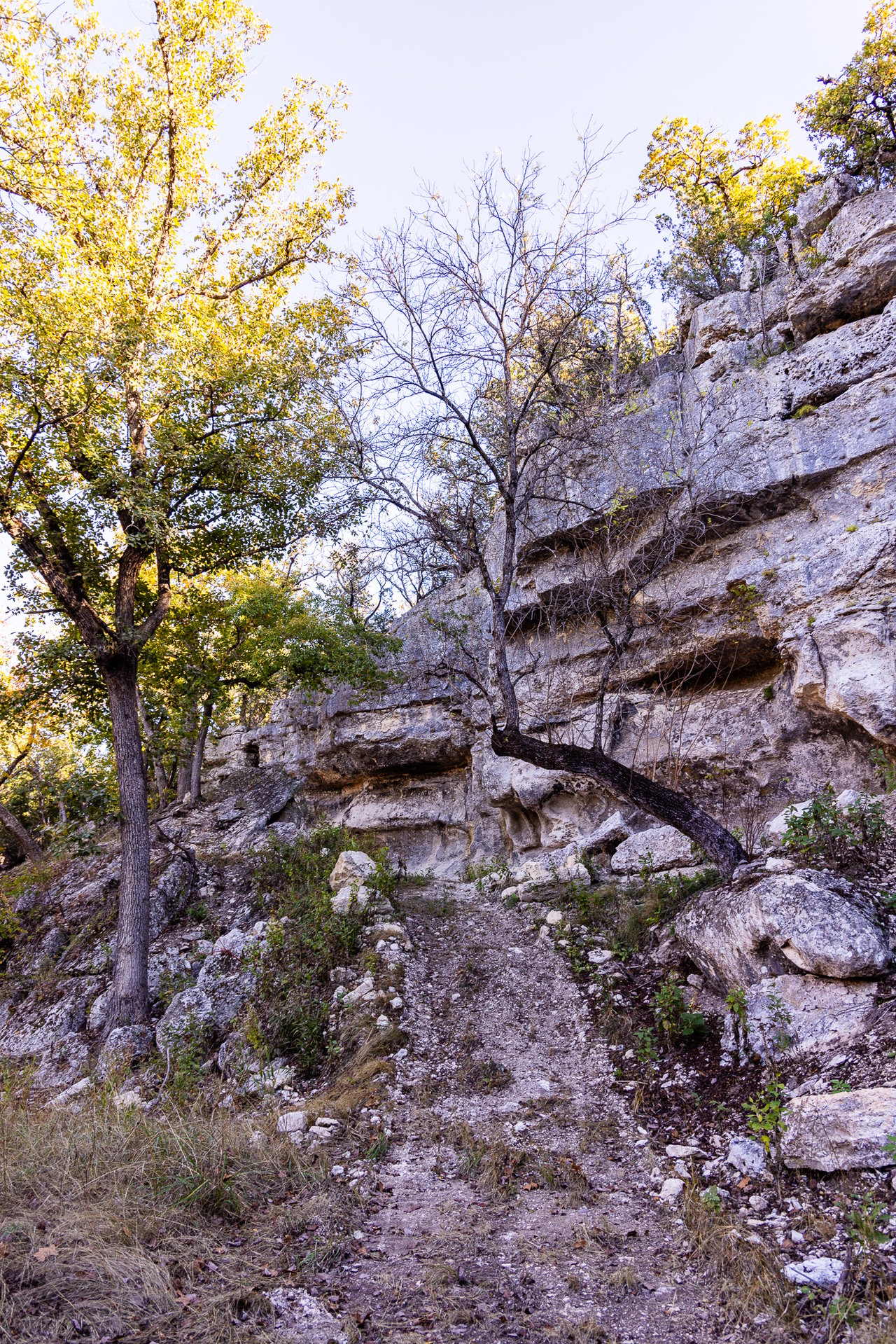 Tortuga Canyon Ranch