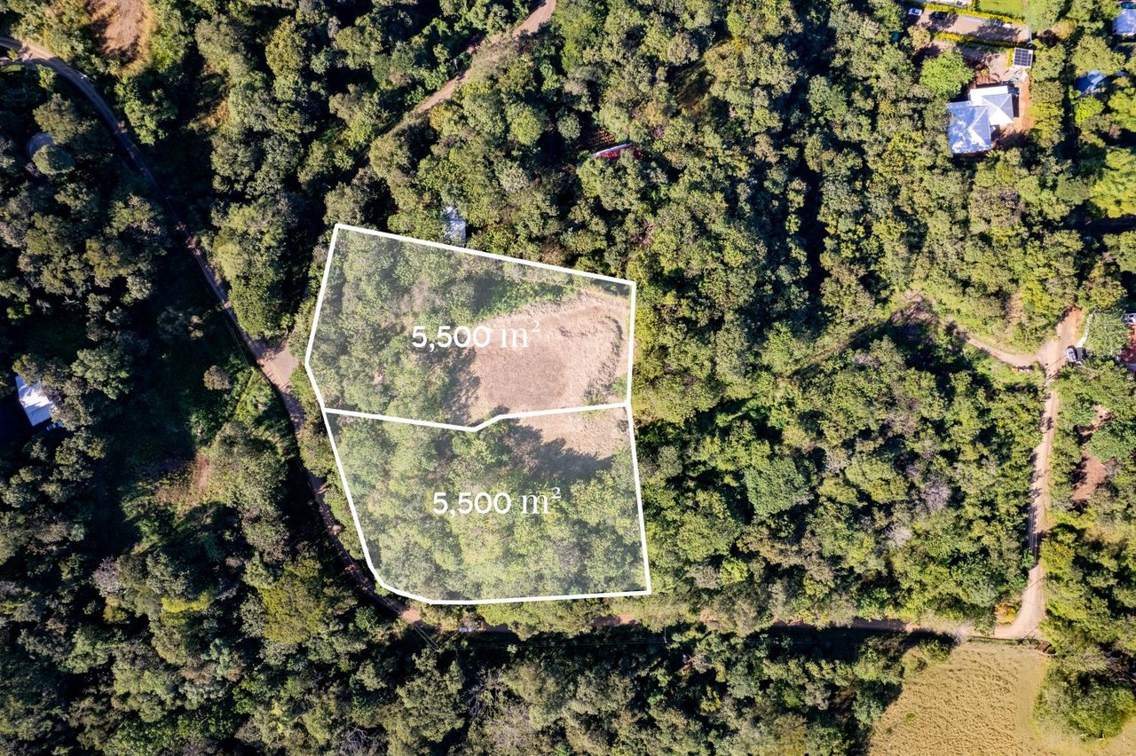 Victoria Real Ocean & Mountain View Lots #3 & #4 | Large Ocean & Mountain View Lot Near Tamarindo