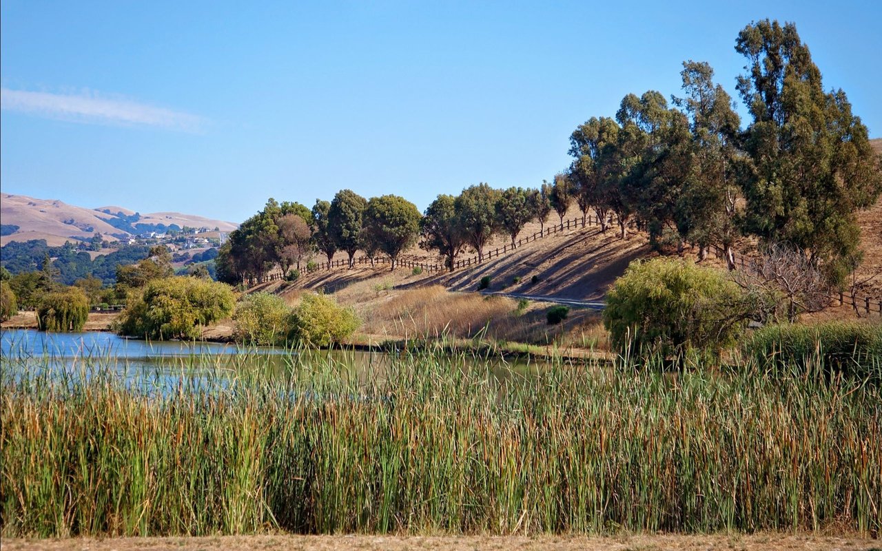Milpitas