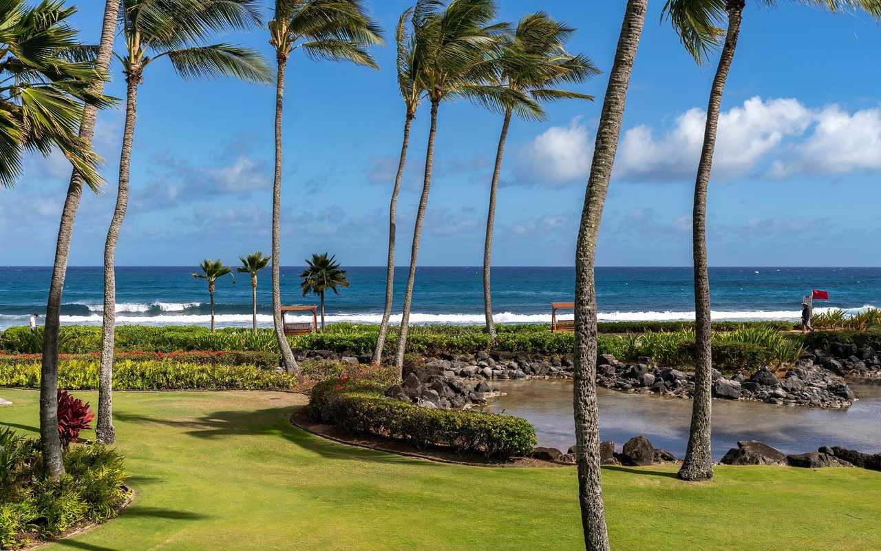 Koloa