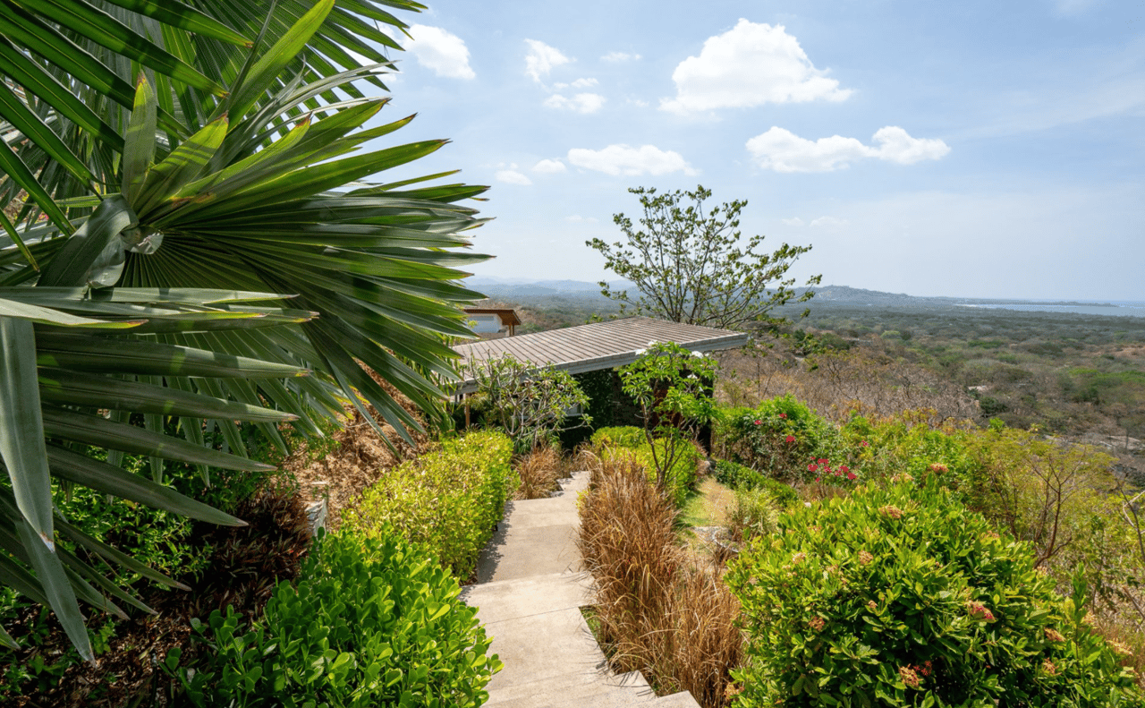 Casa Alta - Las Ventanas - Modern Tropical Oasis