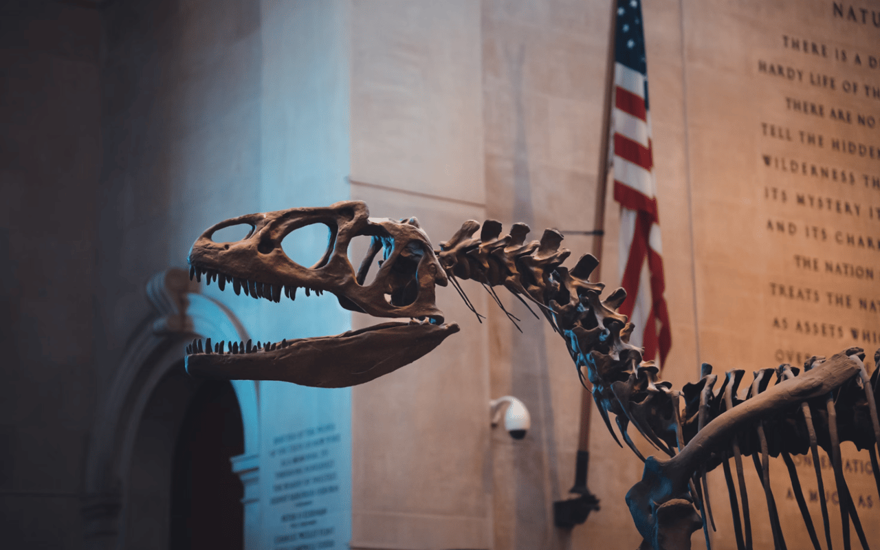 Discovering Upper West Side, NYC: Best Things to Do
