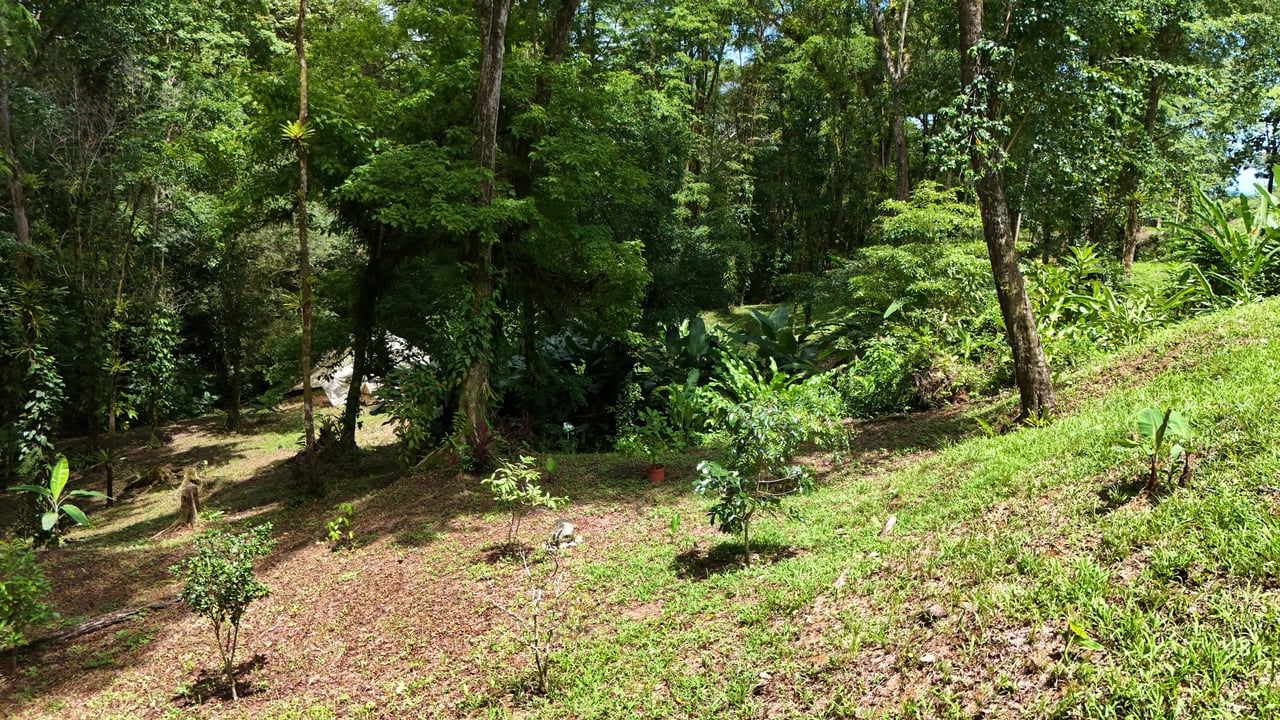 Fire Sale Investment Opportunity in Jardines del Morete | 2 Bed | 2 Bath Home with River Access