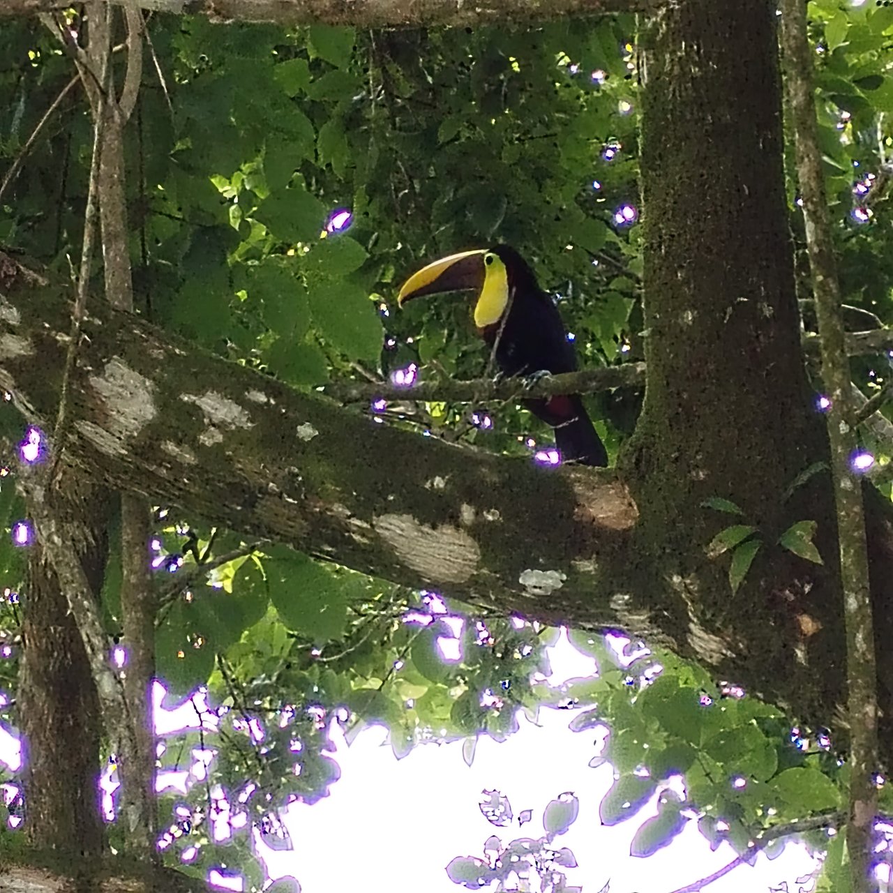 Multi-Family Compound, 4 Fully Furnished Units | 15 Minutes to the Beach