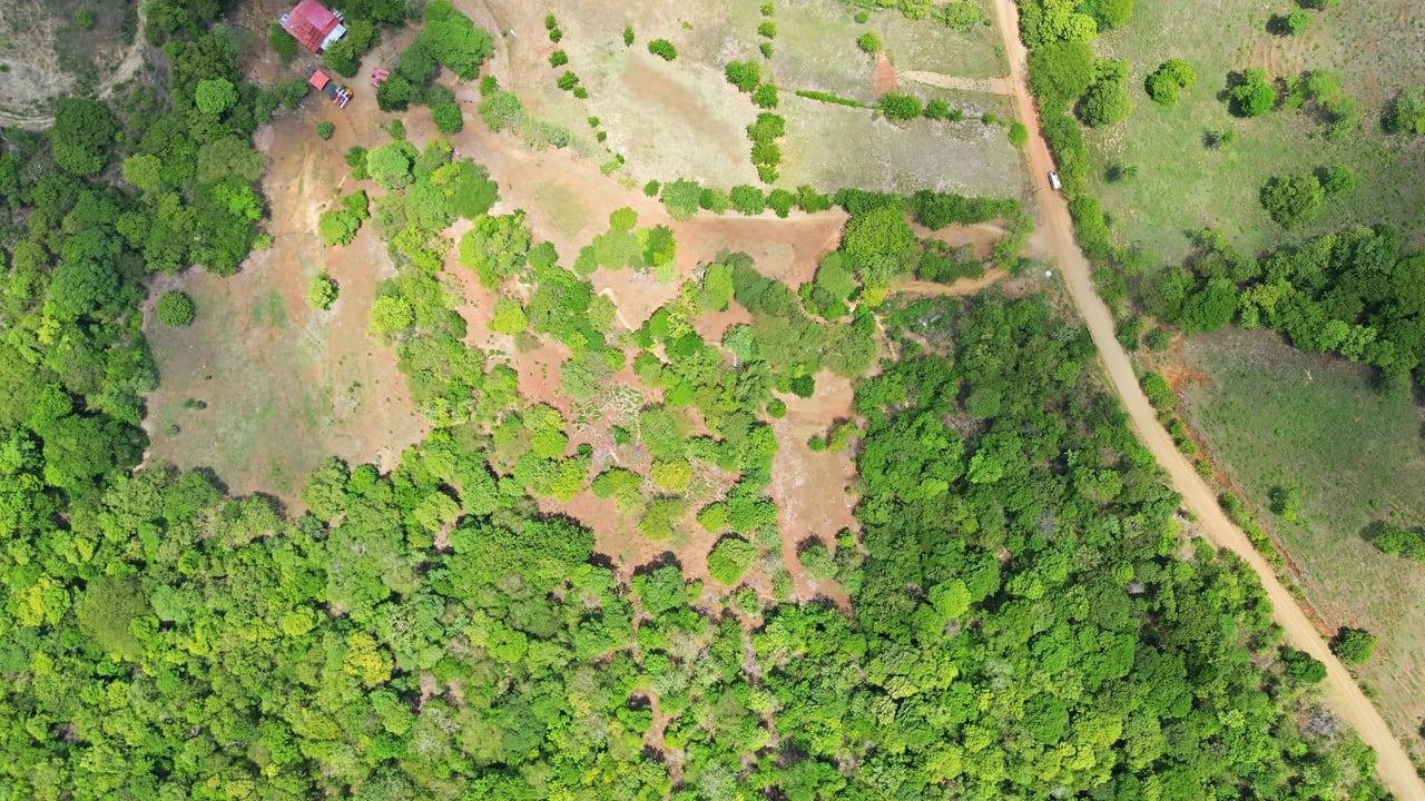 3.4 Acres of Quiet Country Living | 12 minutes from the Beach - Tempate 