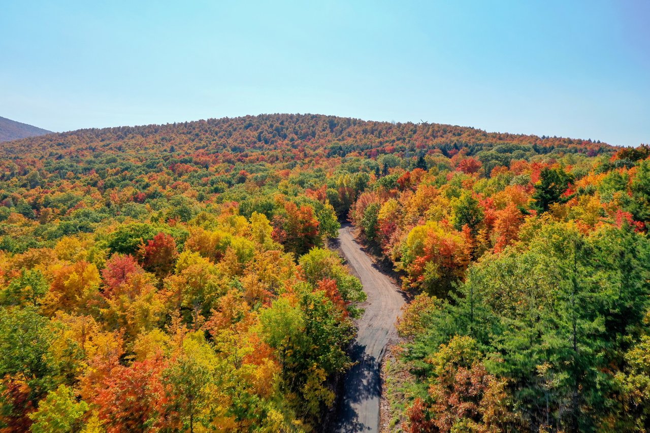 South Salem