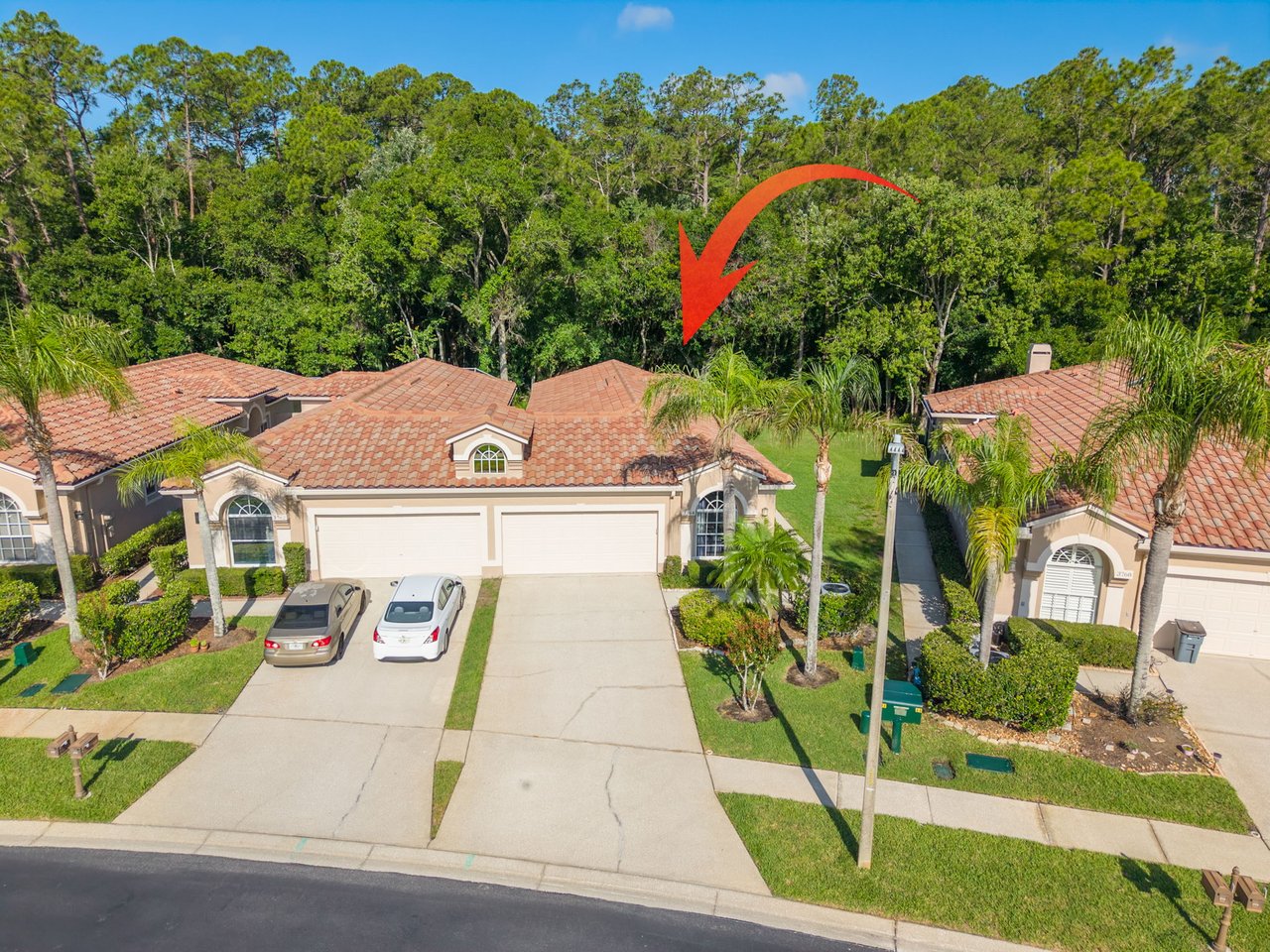 3764 Darston St | Palm Harbor