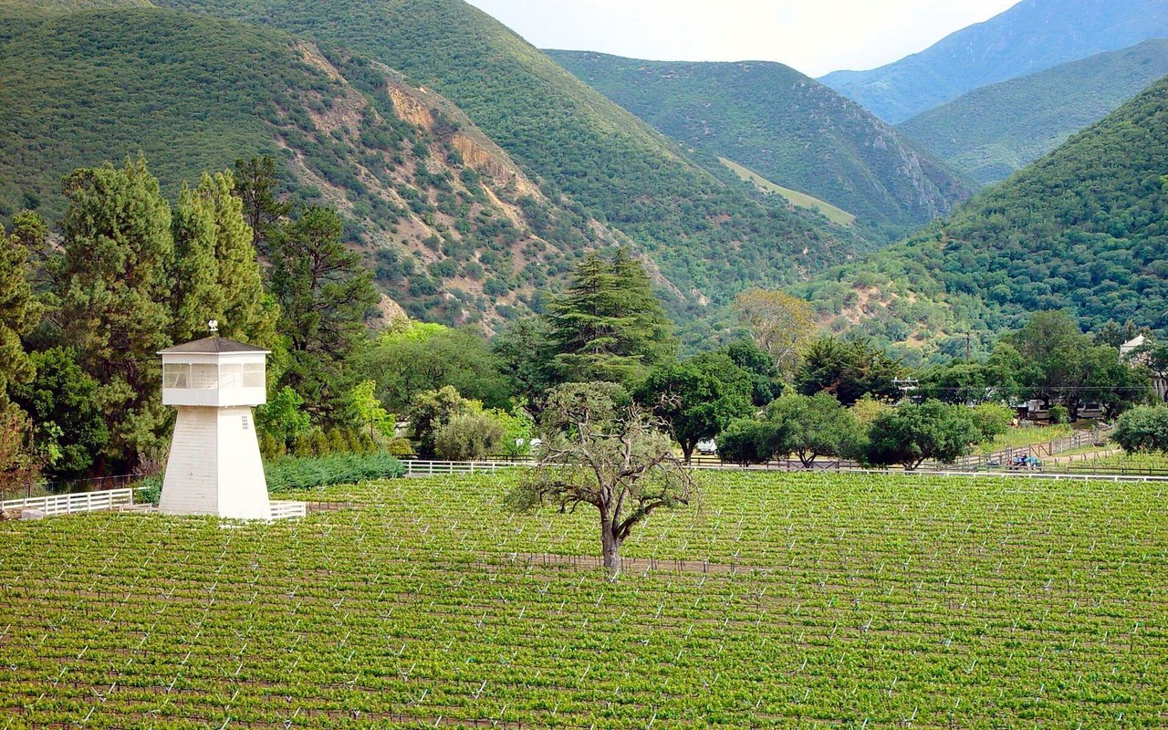 Carmel Valley