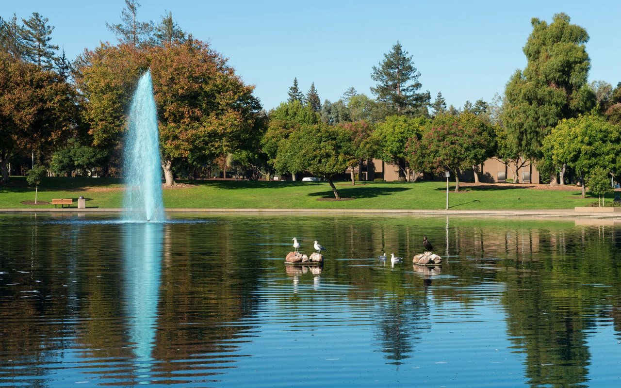 Sunnyvale