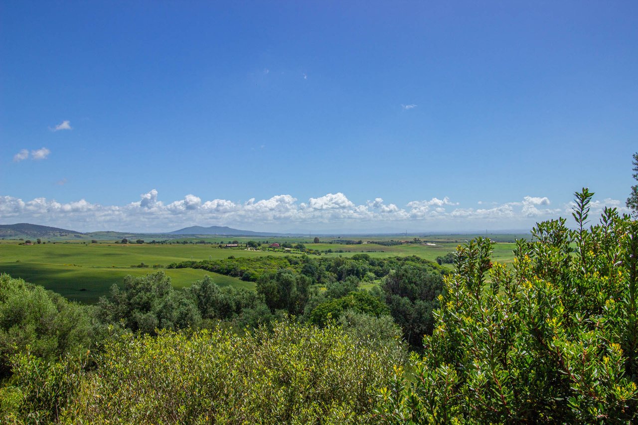 Hunting Reserve - Capalbio