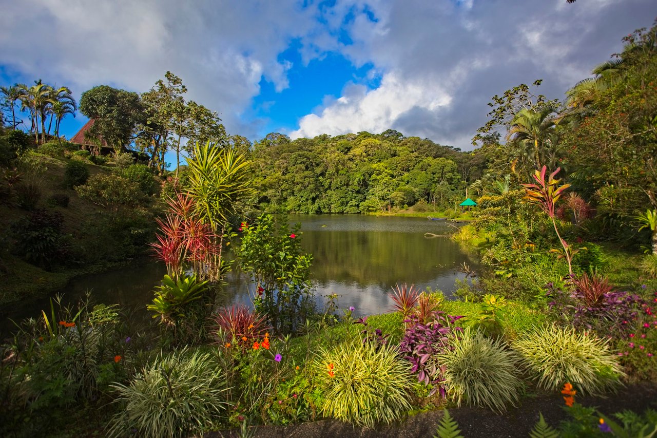 The Lucky Bug | Boutique Hotel & Investment Opportunity in Nuevo Arenal