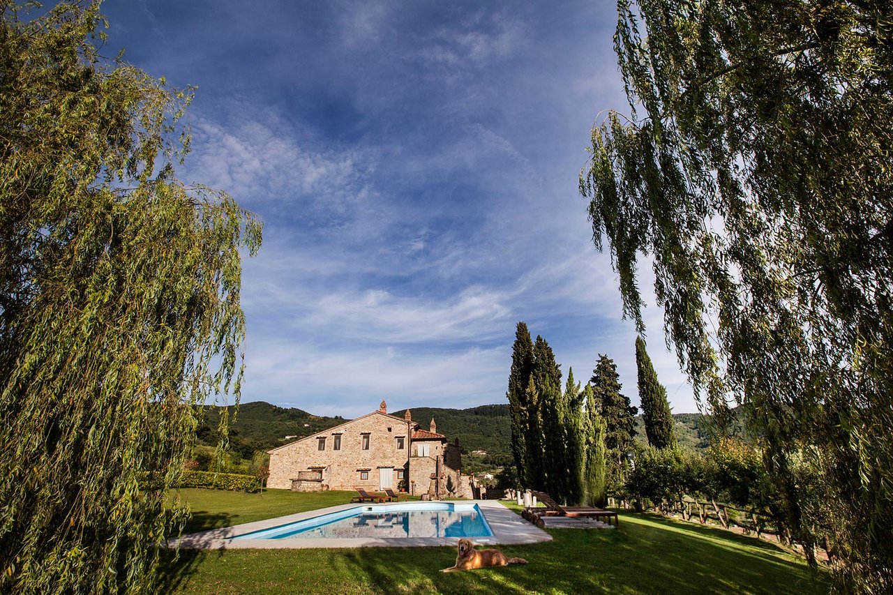 AZIENDA AGRICOLA ARGO