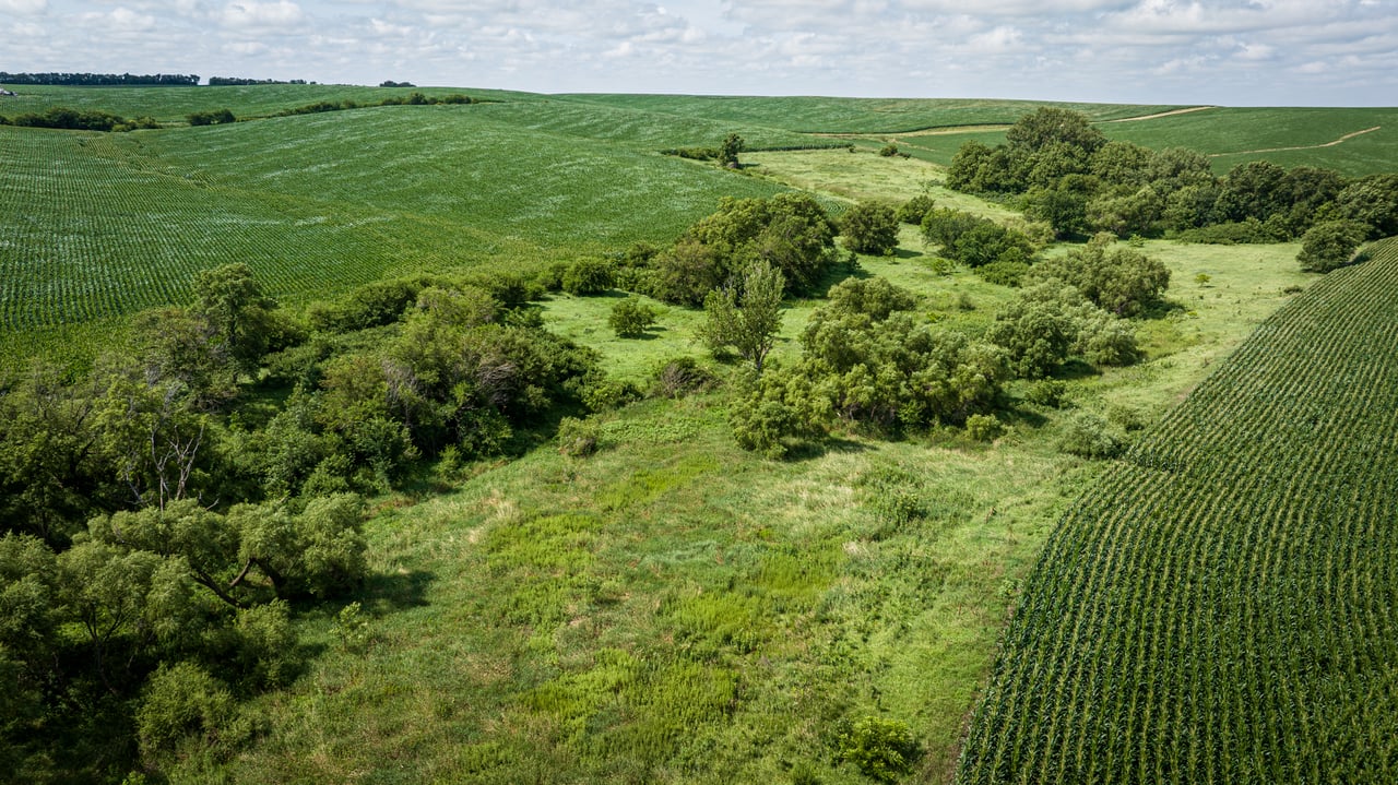 +/- 80 Acres E1/2 SE1/4 13-20-3 Adams Township, Colfax County, Nebraska
