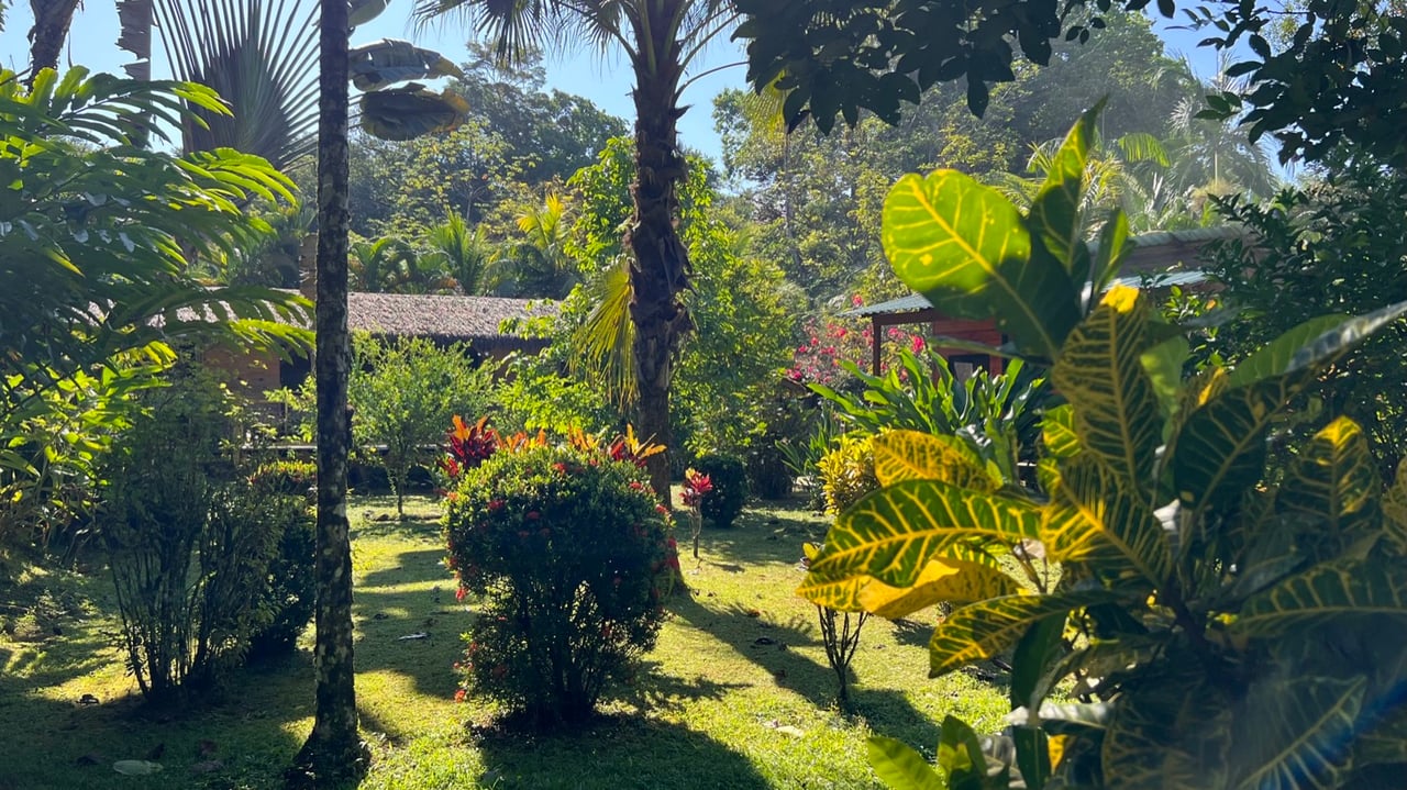 Tropical 2-Bedroom Riverfront Gem in Ojochal