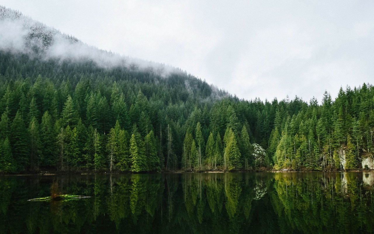 The Vancouver Rennie Review | May 2025