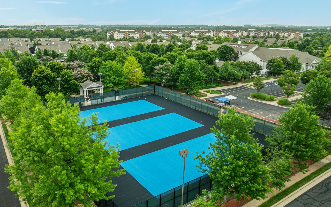 Potomac Green